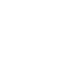Frame 334